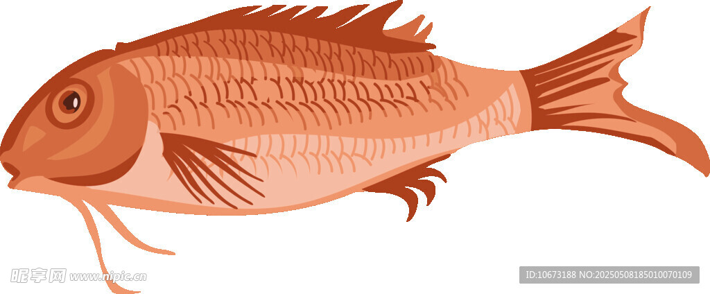紅色魚插畫