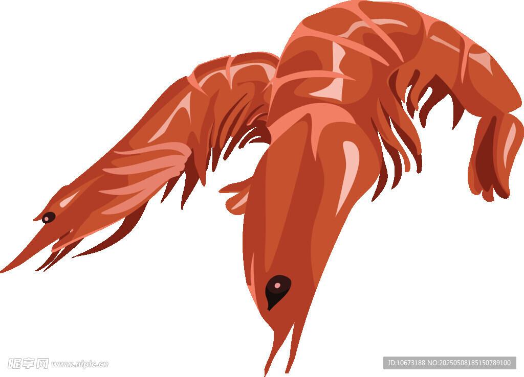 紅色大蝦插畫