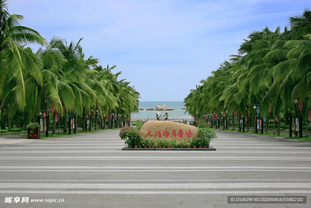 椰樹成排的美麗景觀大道
