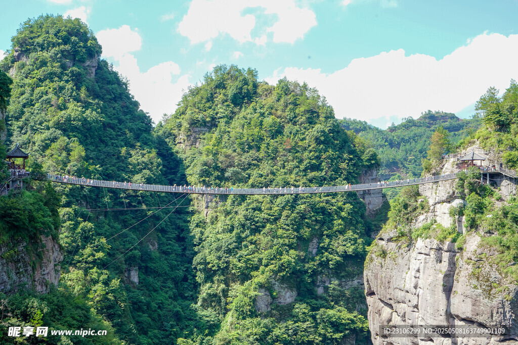 山間懸索橋橫跨翠綠峽谷