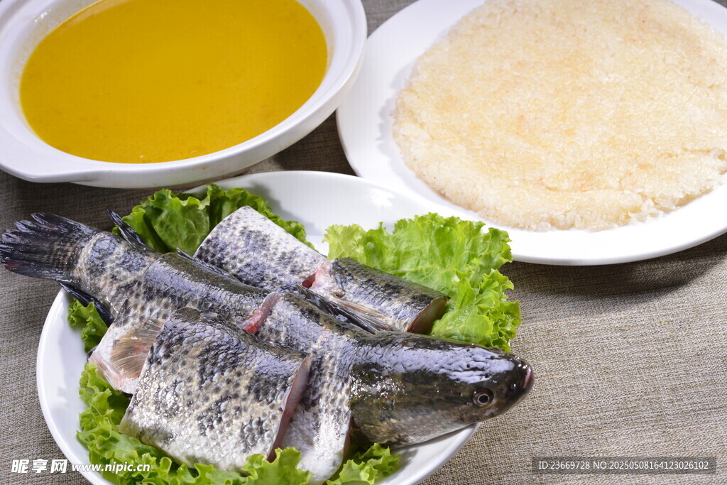 新鮮水產(chǎn)食材展示