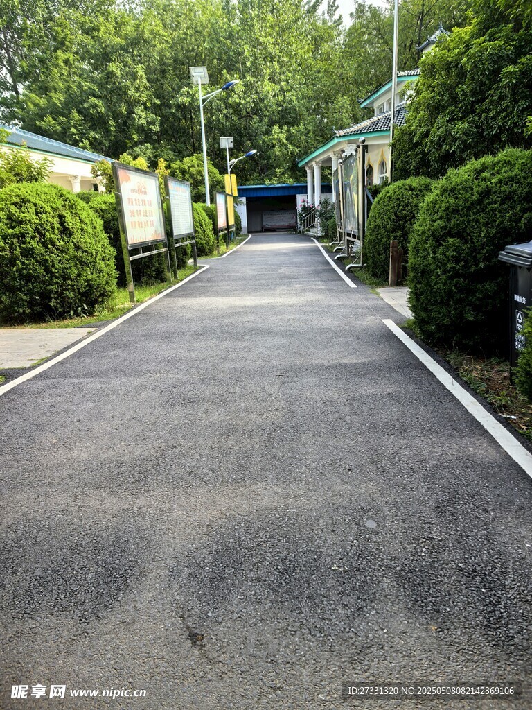 幽靜的林蔭小道
