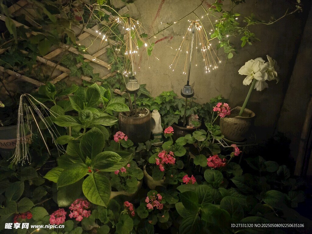 幽謐花園中的繁花綠植