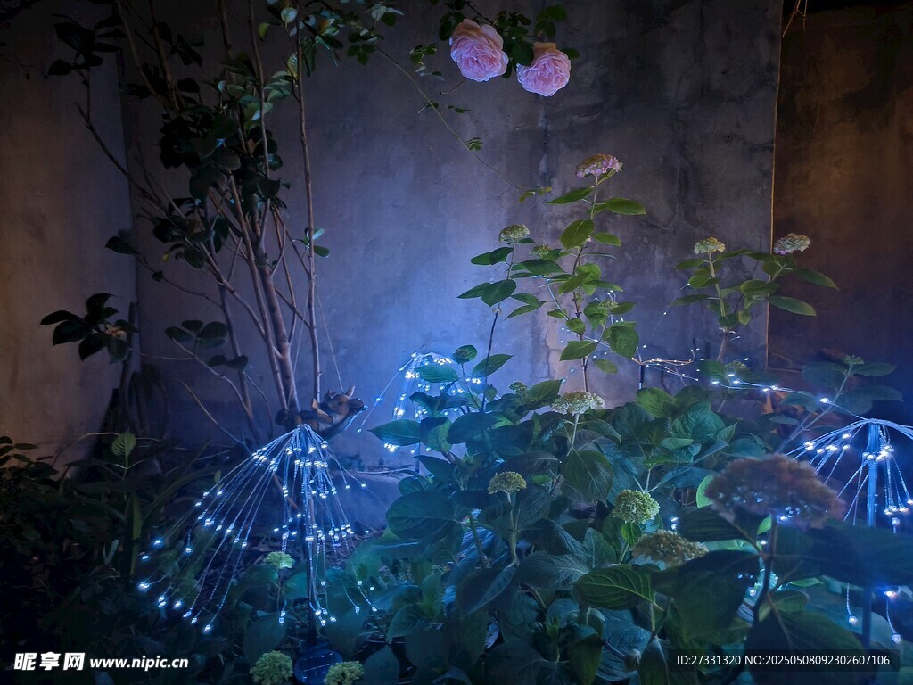 夢幻植物景觀營造神秘氛圍