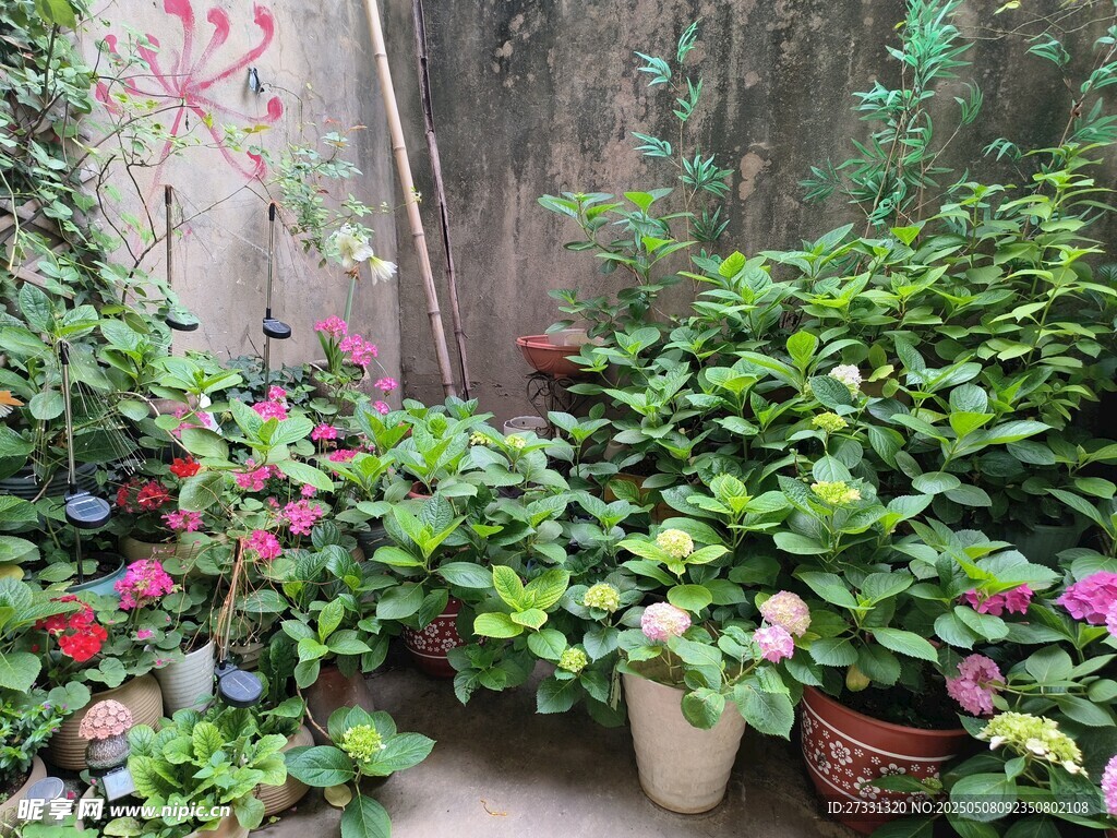 庭院綠植花卉景致
