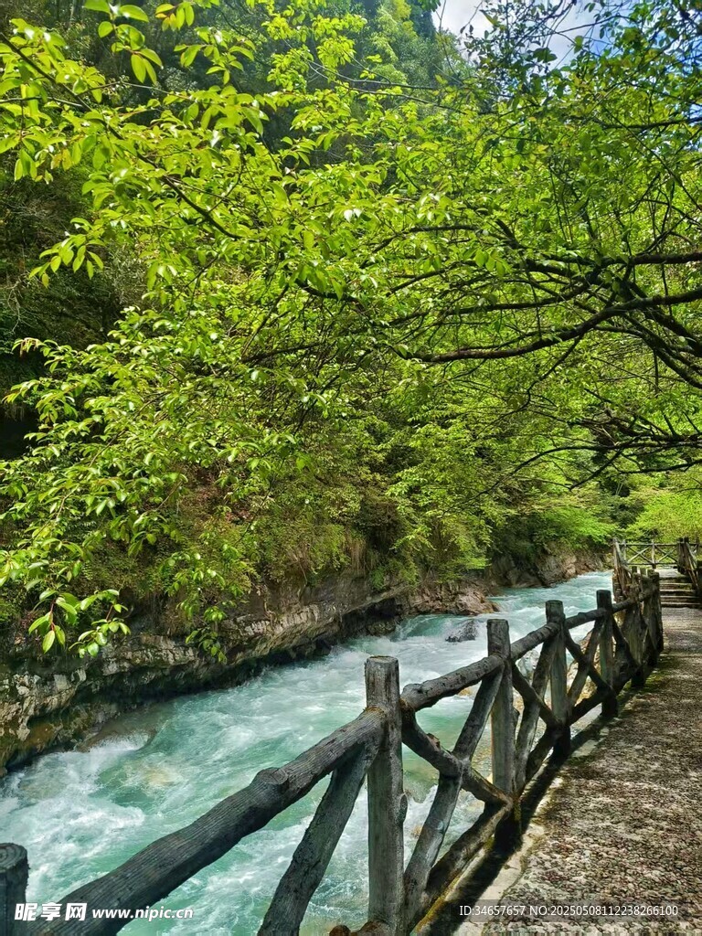 山間溪邊木棧道風(fēng)景