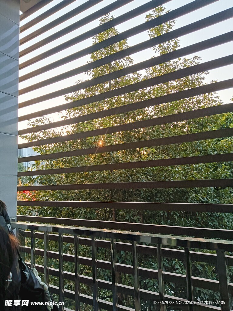 透過(guò)百葉窗看戶(hù)外景色