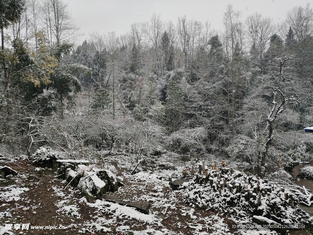 雪覆山林景象