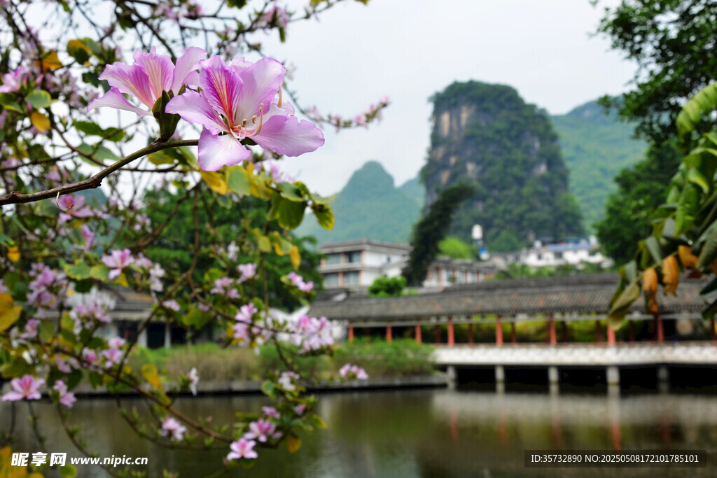 湖畔繁花伴遠山美景