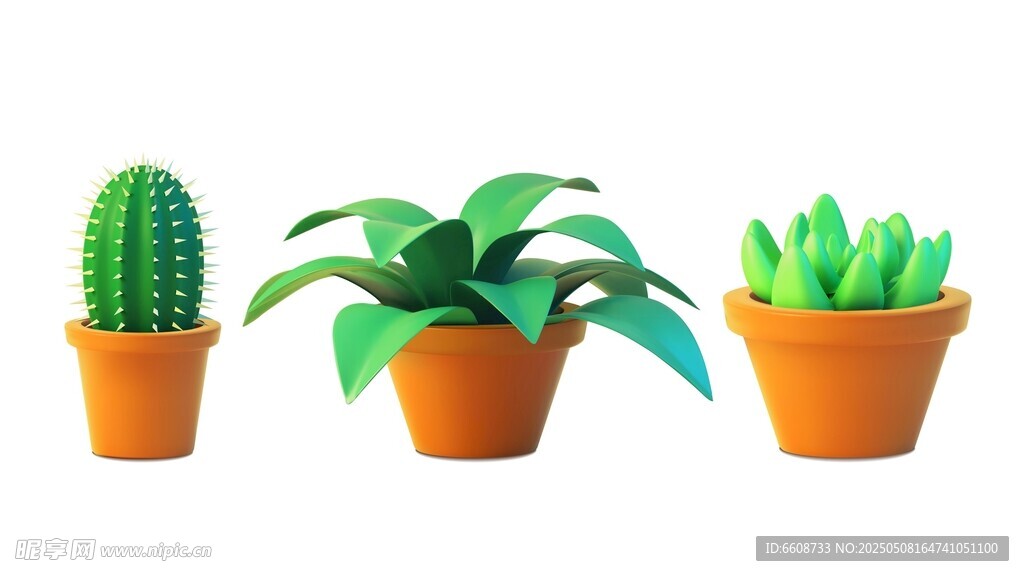 三盆可愛盆栽植物