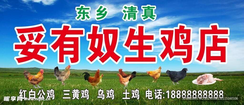 活雞 生雞 門頭圖片