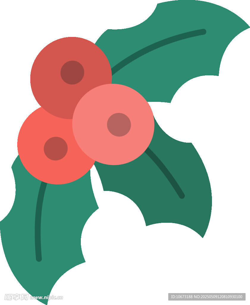 圣誕冬青漿果圖標(biāo)