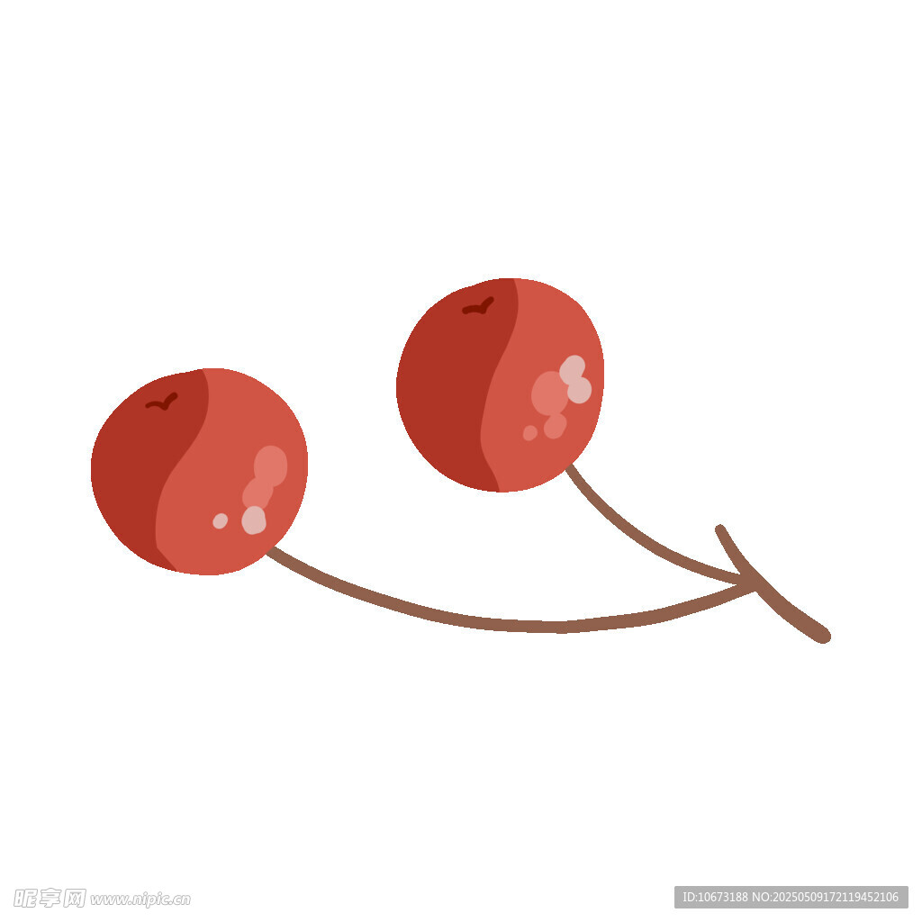 兩顆紅櫻桃插畫
