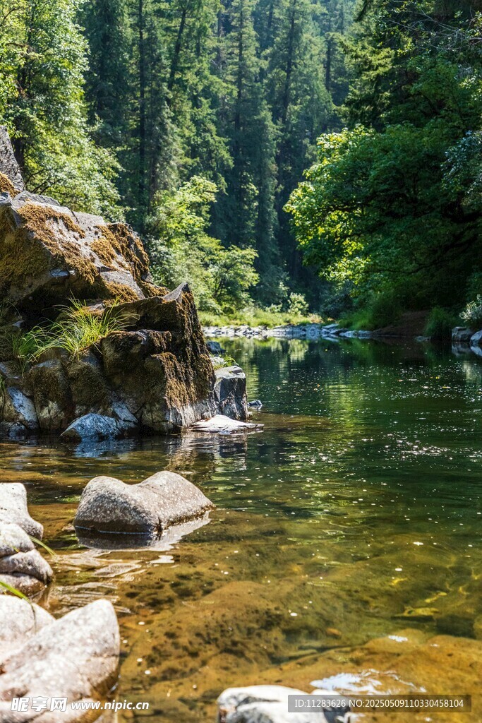 山間清澈溪流與茂密樹林