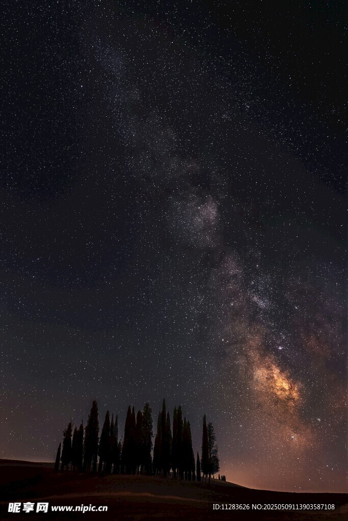 夜空下的森林與璀璨星河
