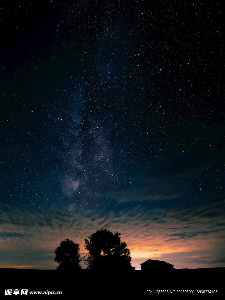 夜幕下的星空與樹木剪影