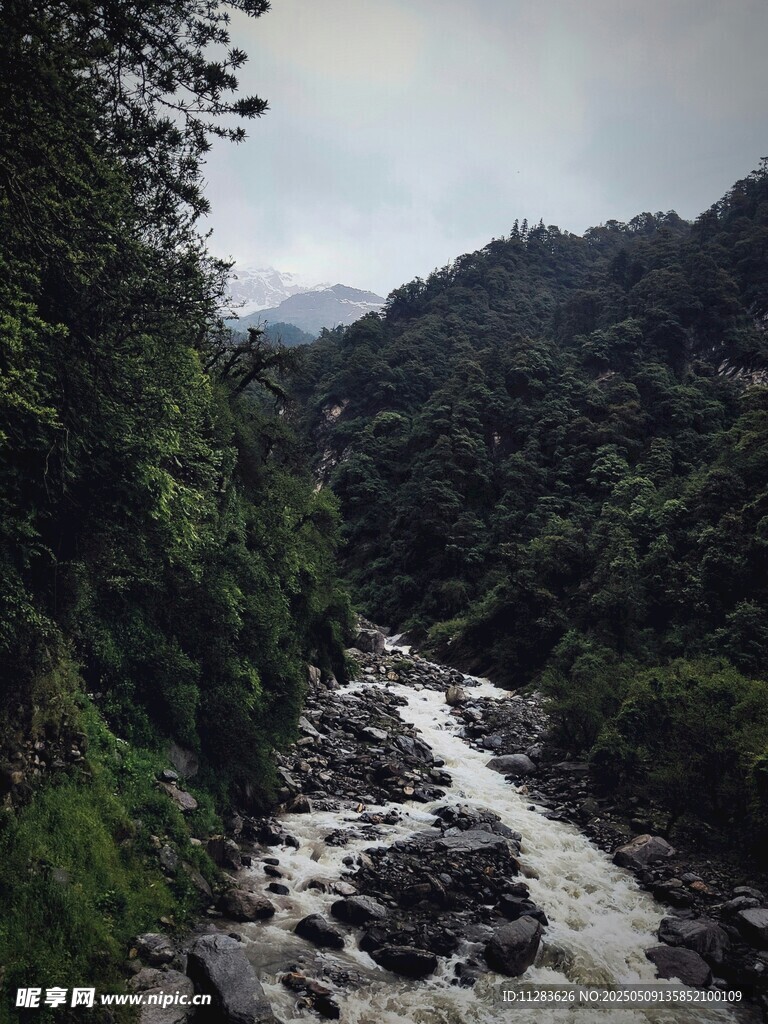 山間湍急溪流穿林而過(guò)