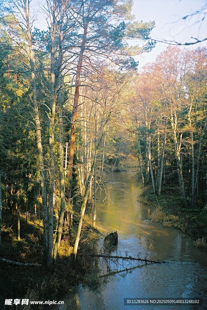 林間靜謐小河風景