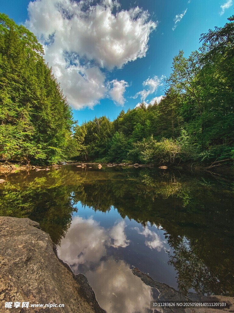 寧靜河畔的自然美景
