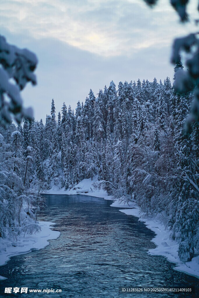 冬日雪覆河流森林美景
