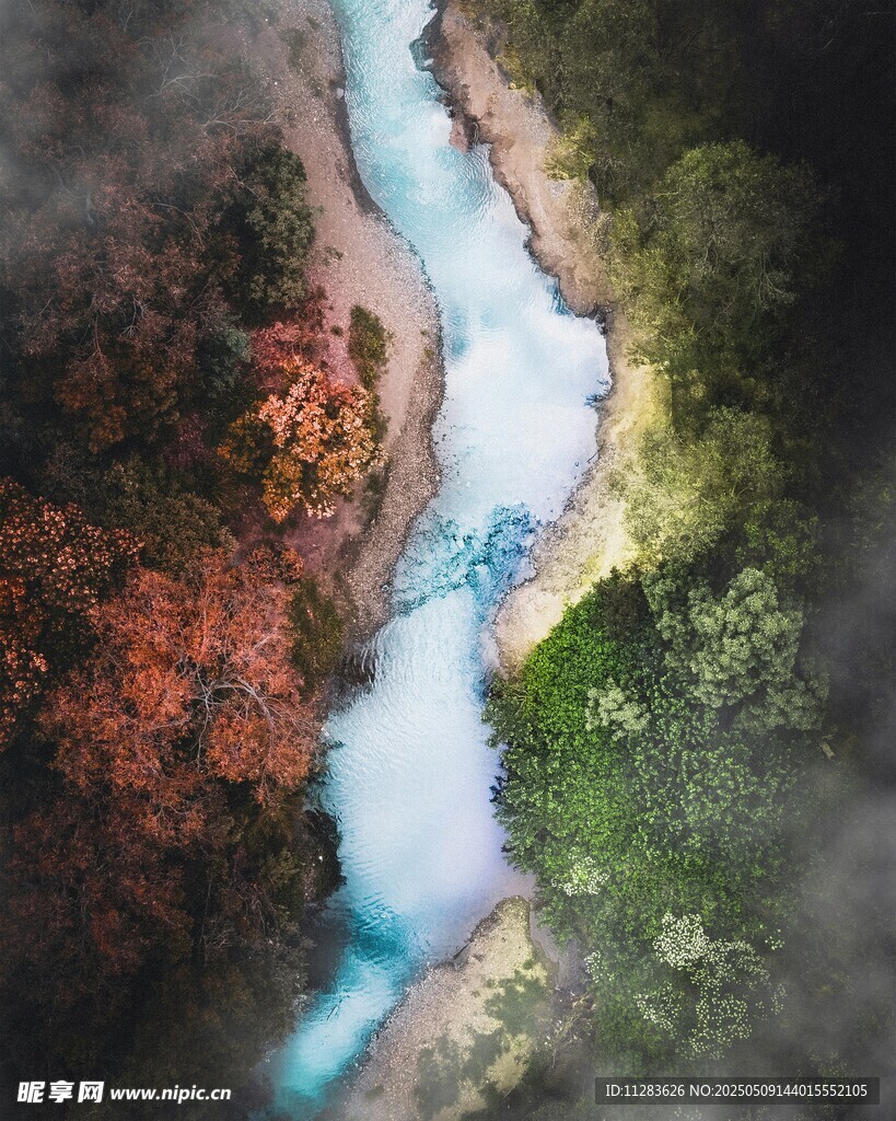 山間藍溪穿林而過