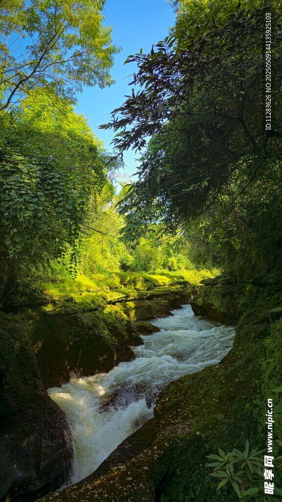 山間溪流綠意盎然的美景