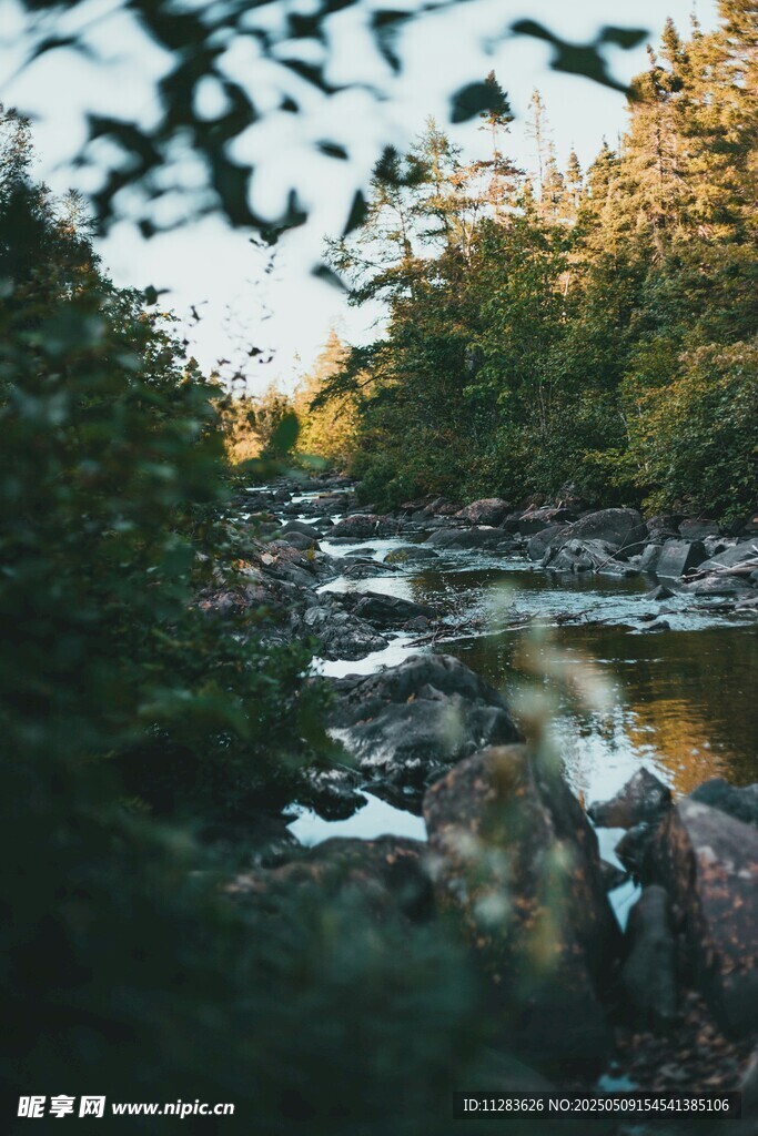 林間溪流美景