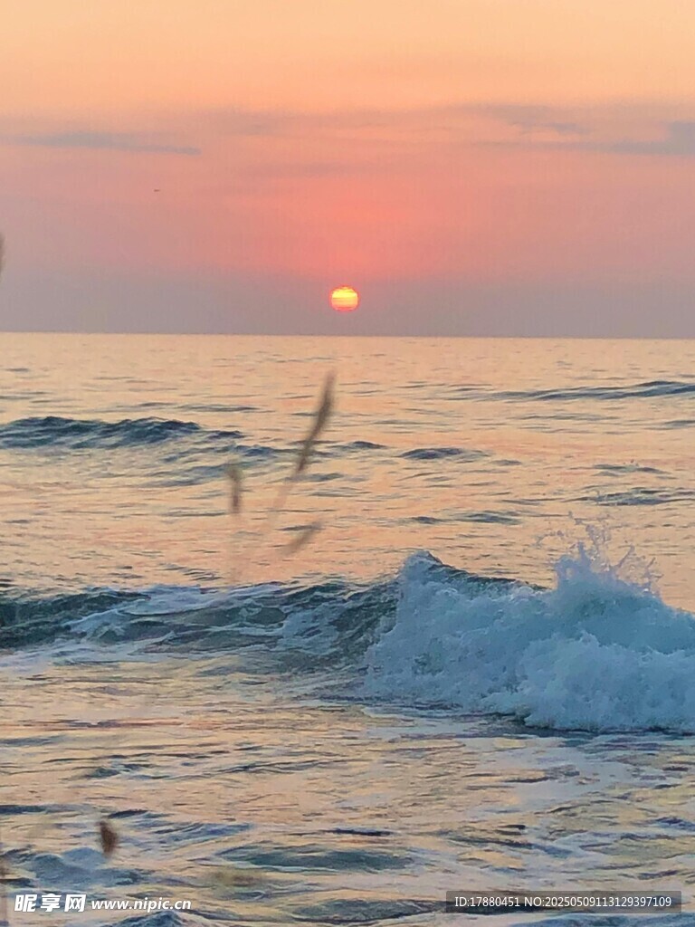 大海