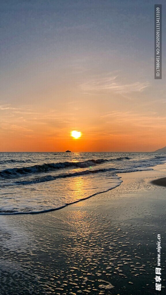 大海