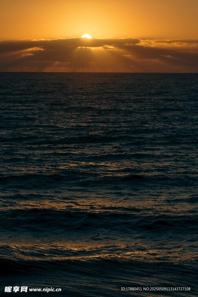 大海