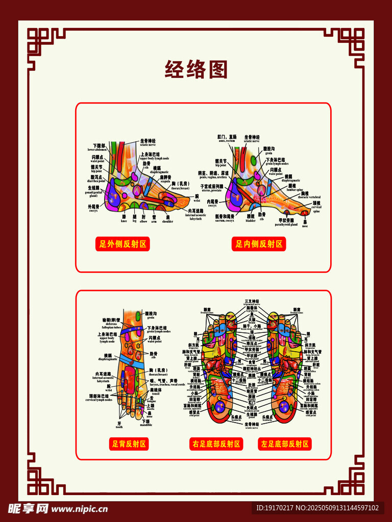經絡圖