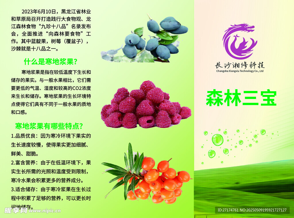 藍靛果三折頁