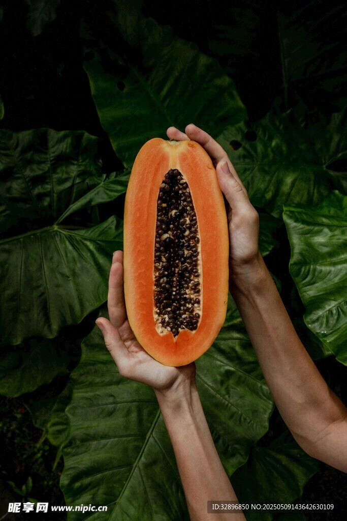 雙手捧起切開的新鮮木瓜