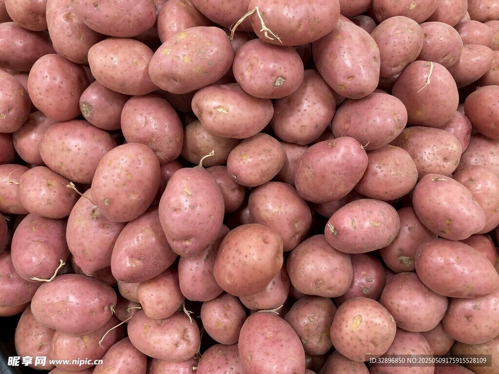 一堆新鮮的紅皮小土豆