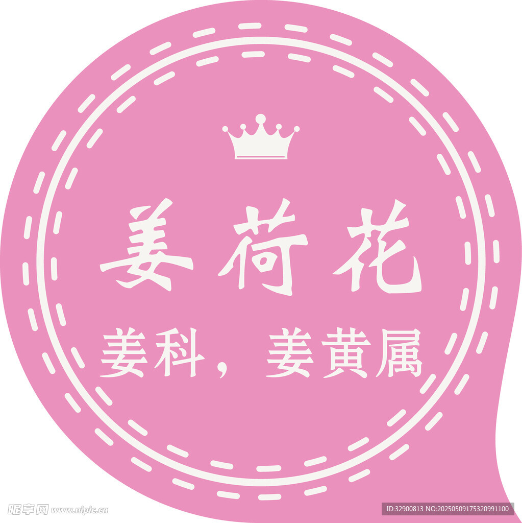 姜荷花