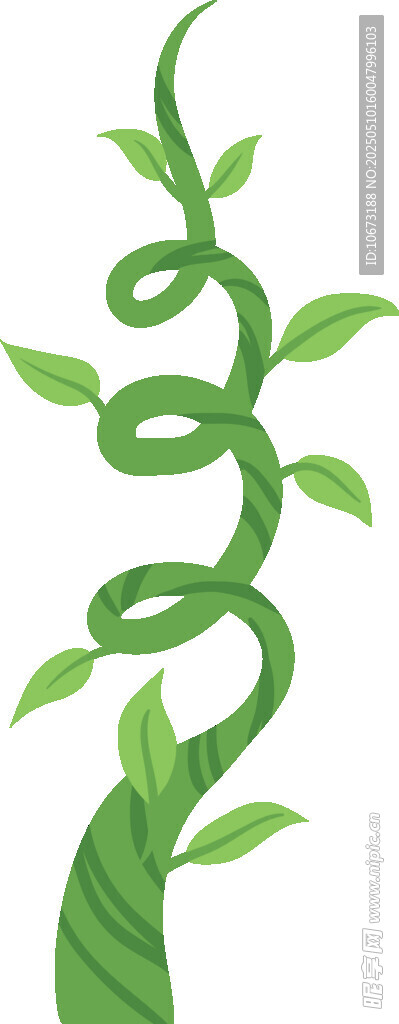綠色藤蔓植物插畫
