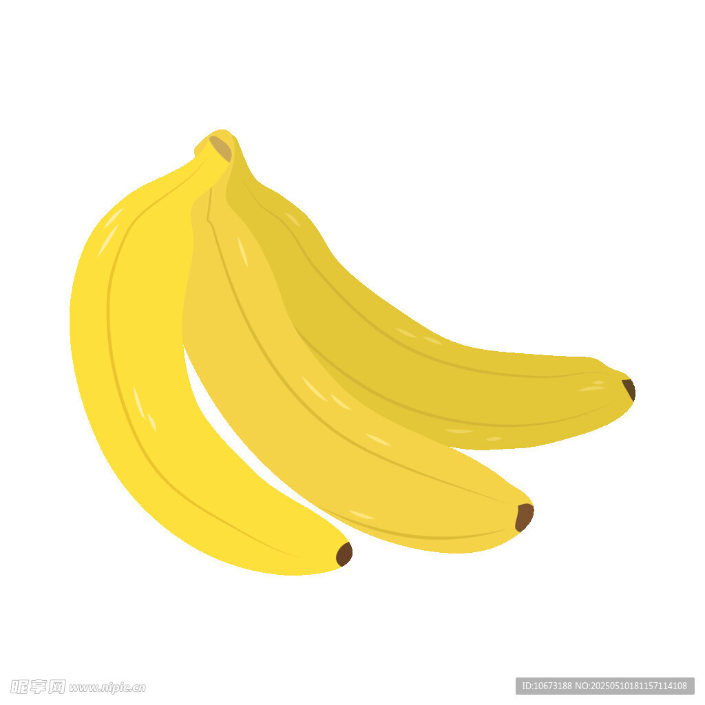 三根黃色香蕉插畫