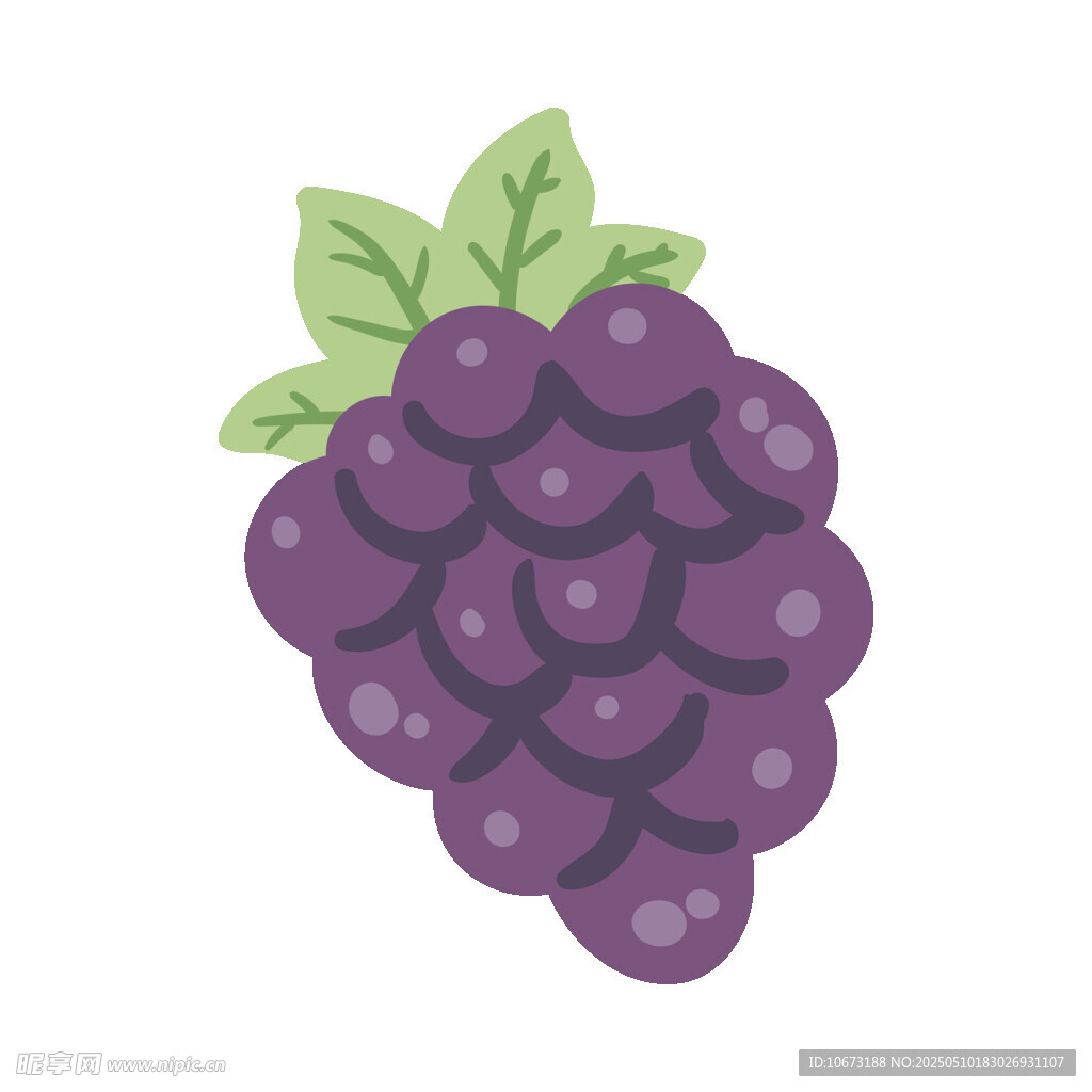 紫色葡萄插畫