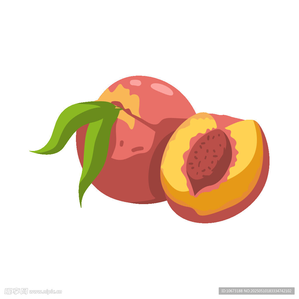 兩個鮮桃插畫