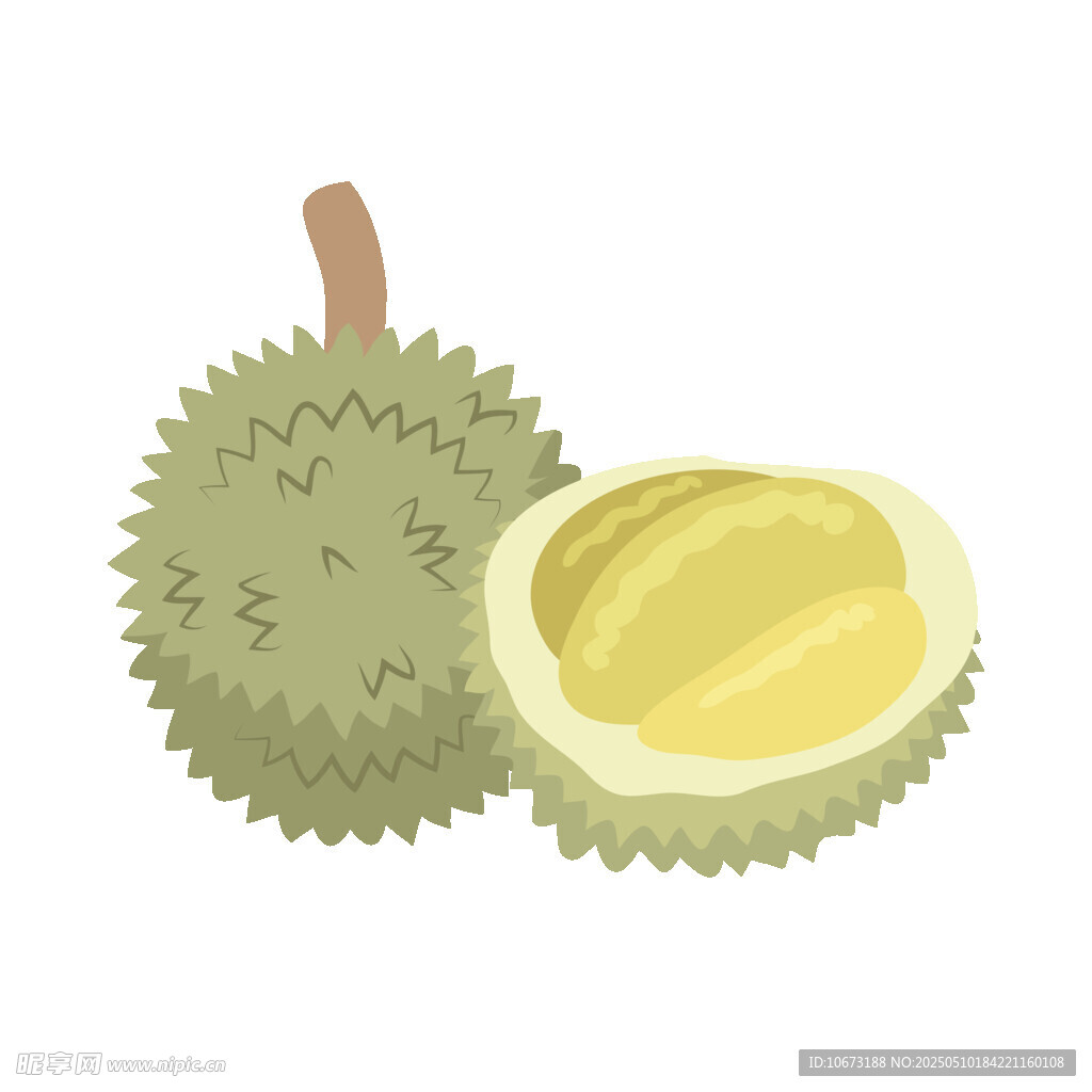 剝開的榴蓮插畫