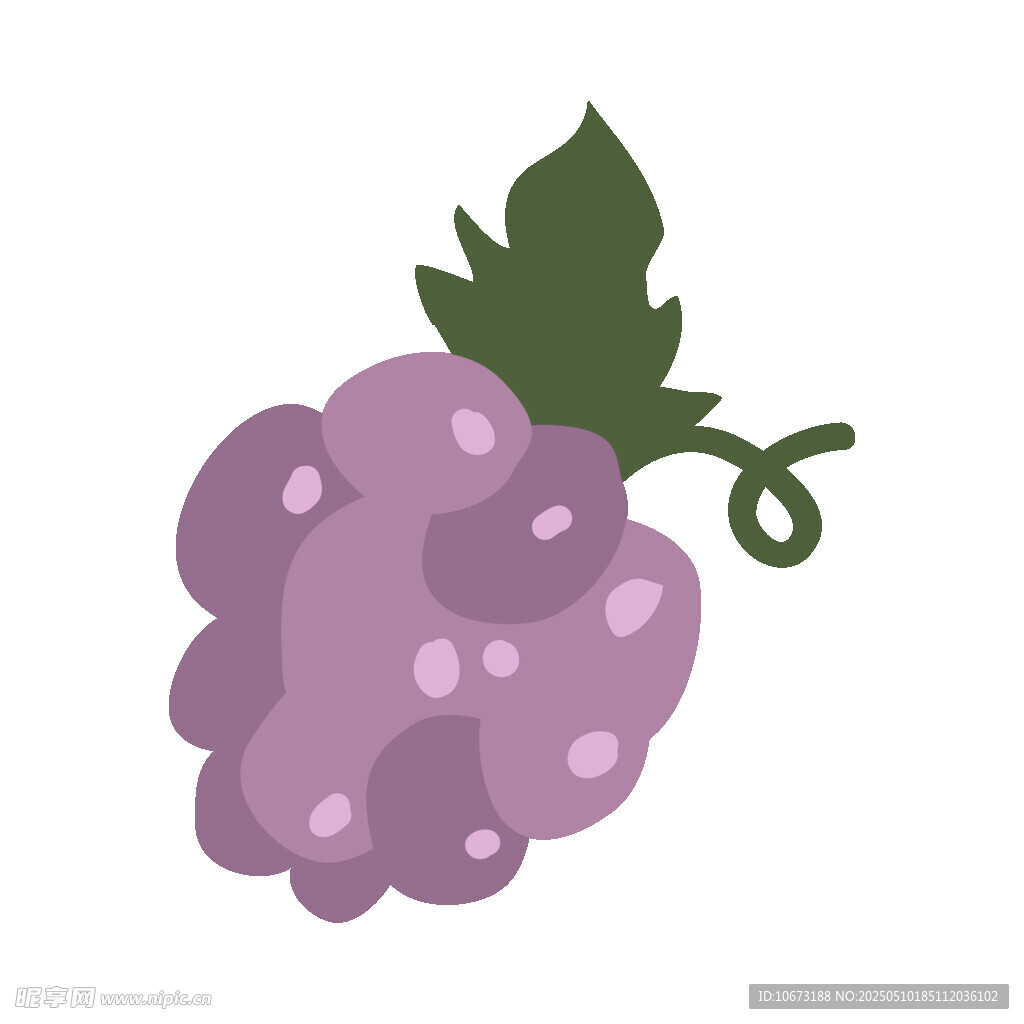紫色葡萄插畫