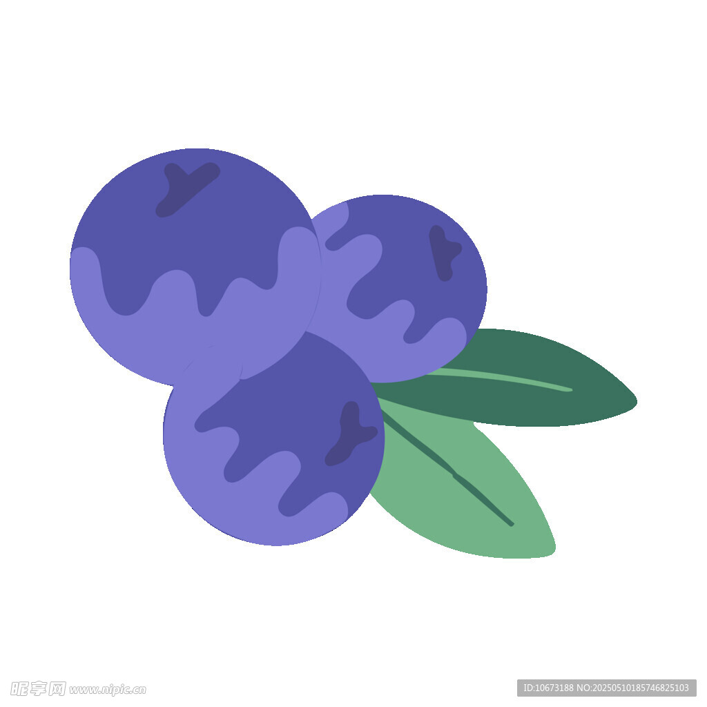 三顆藍莓插畫