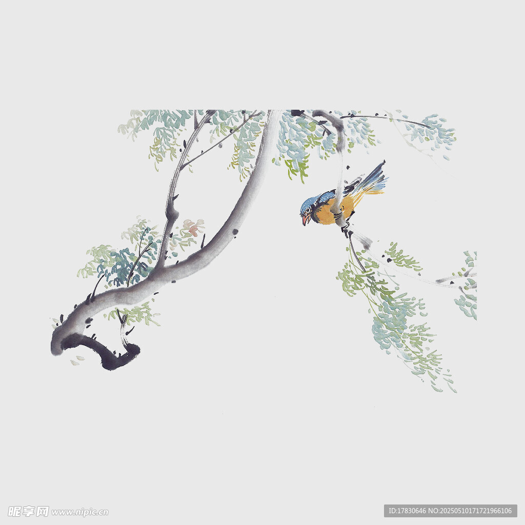 枝頭雙鳥水墨畫