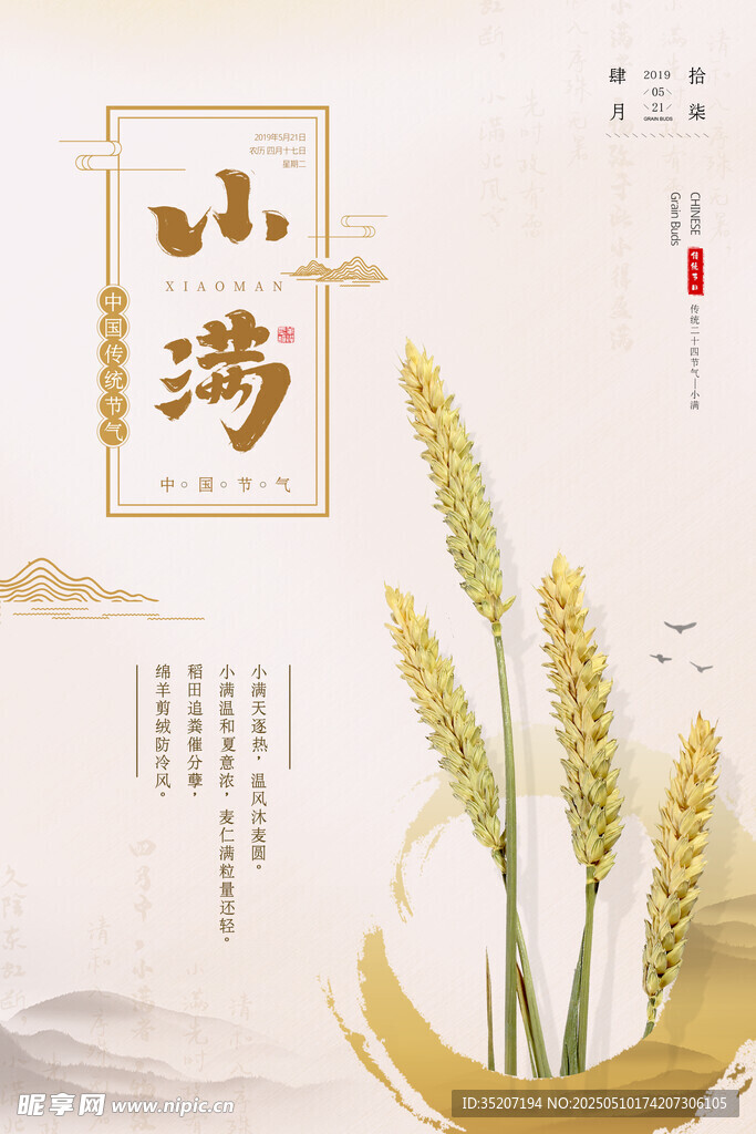 小滿時節麥穗金黃