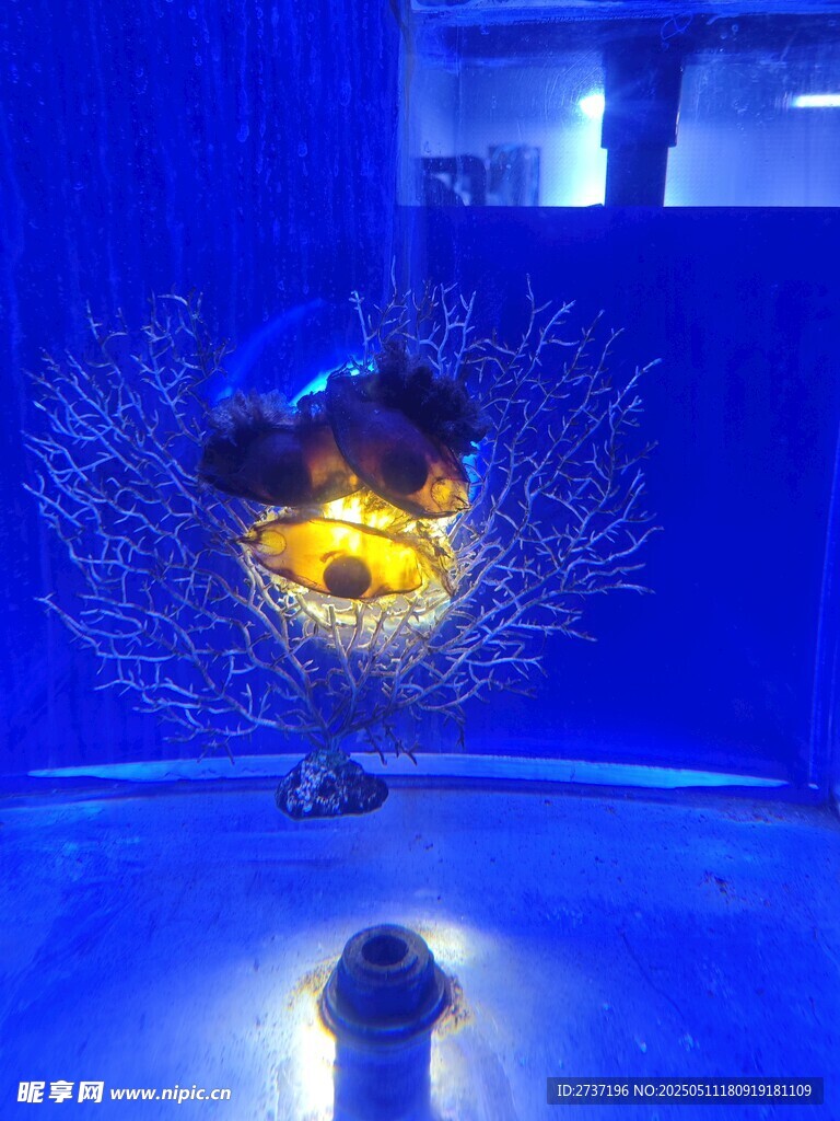 海世界