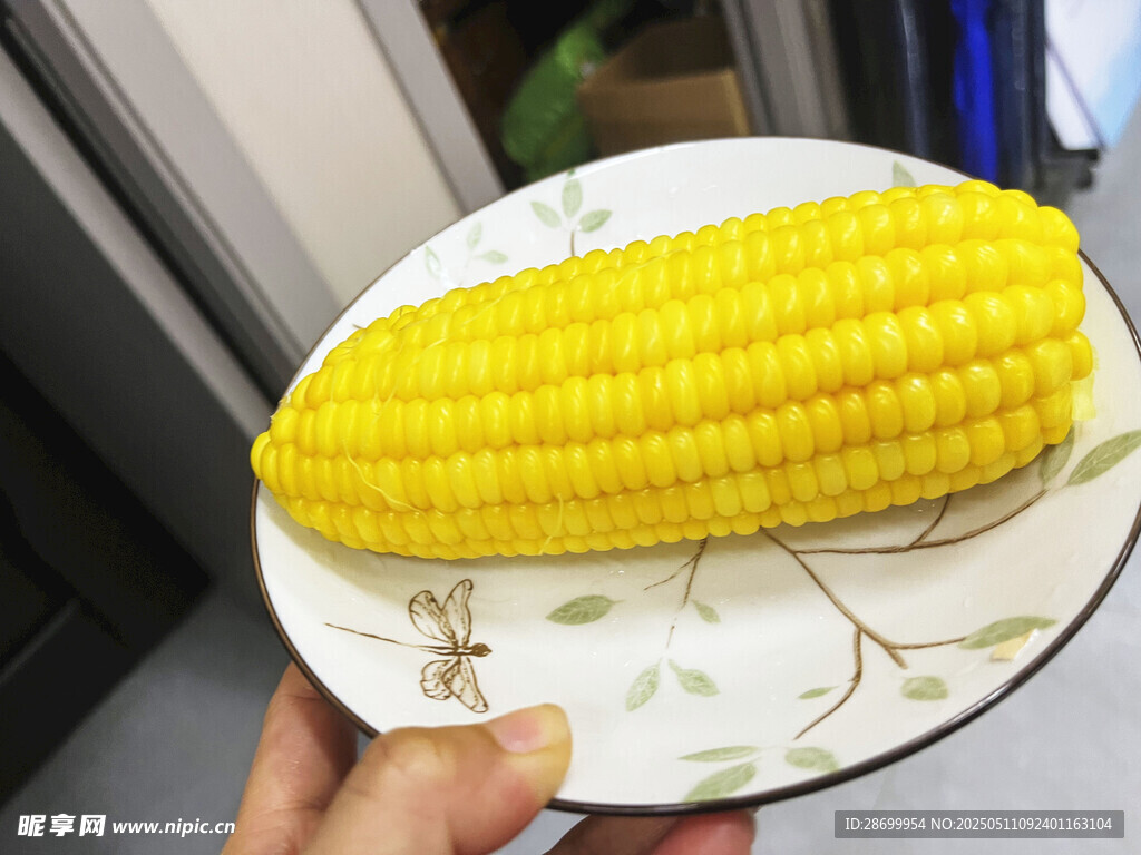手持盤中鮮玉米