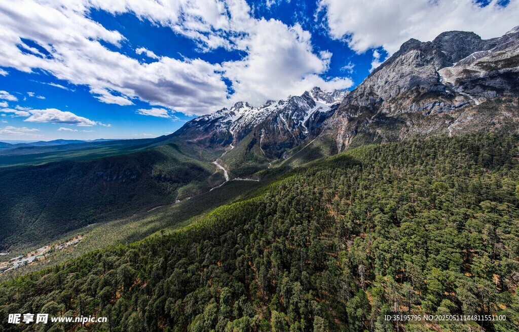 壯麗山景與蔥郁森林