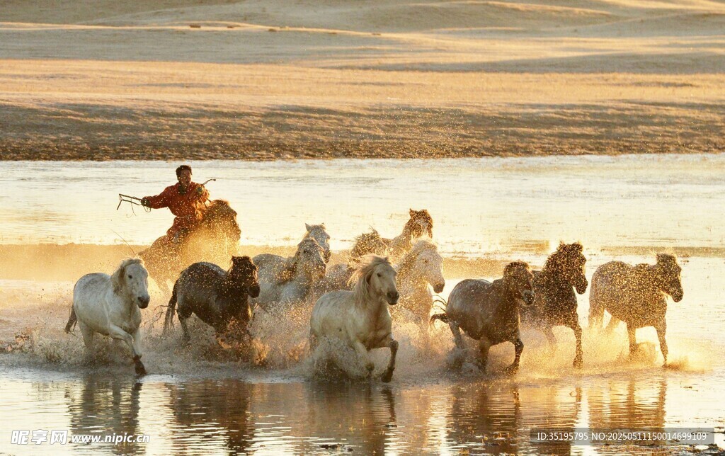 牧民趕馬群踏水而行