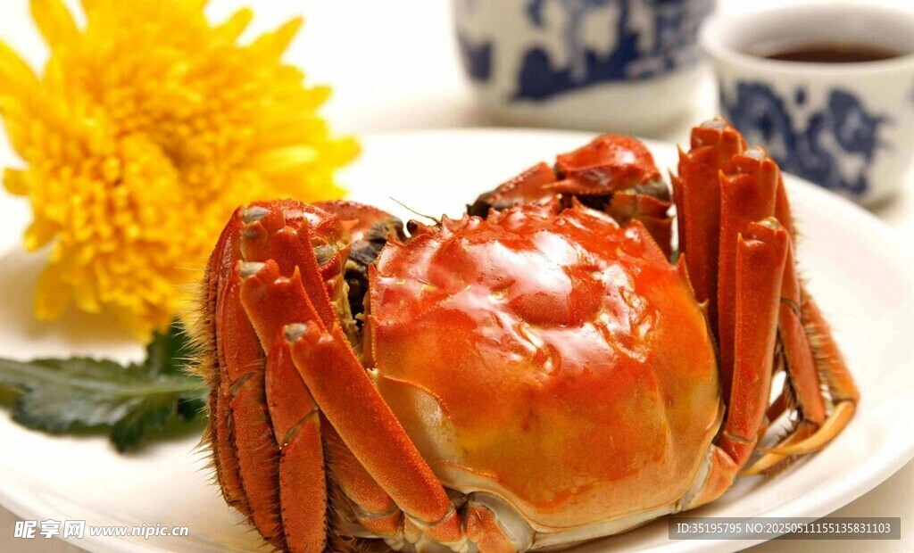 美味大閘蟹擺放在盤中