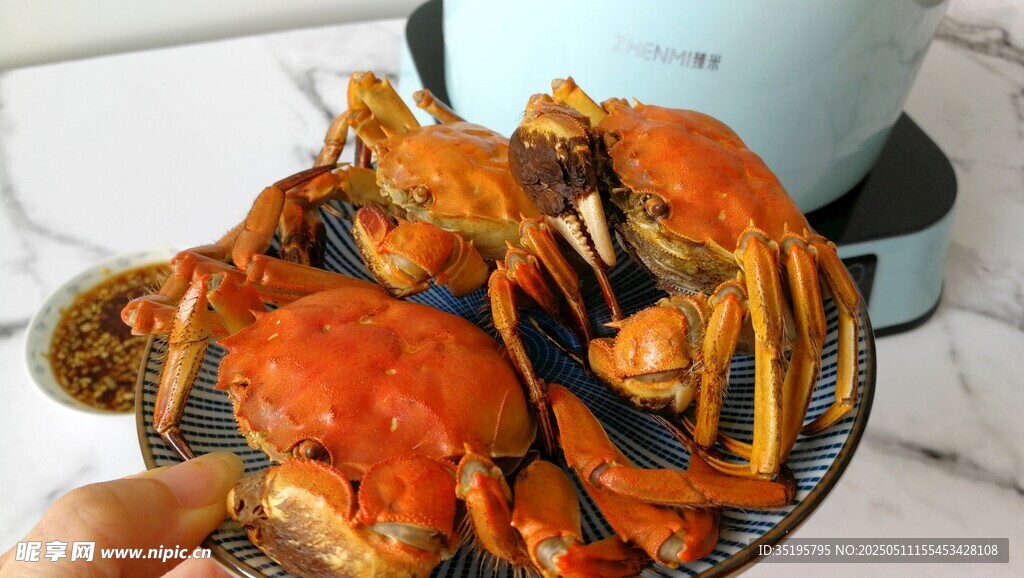 美味大閘蟹新鮮誘人